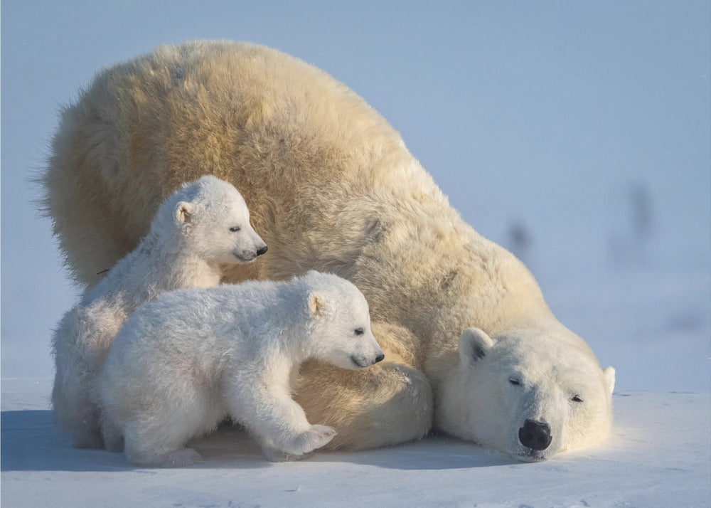 Wall art Mum, Play together-Canvas Print-DECOROLALA