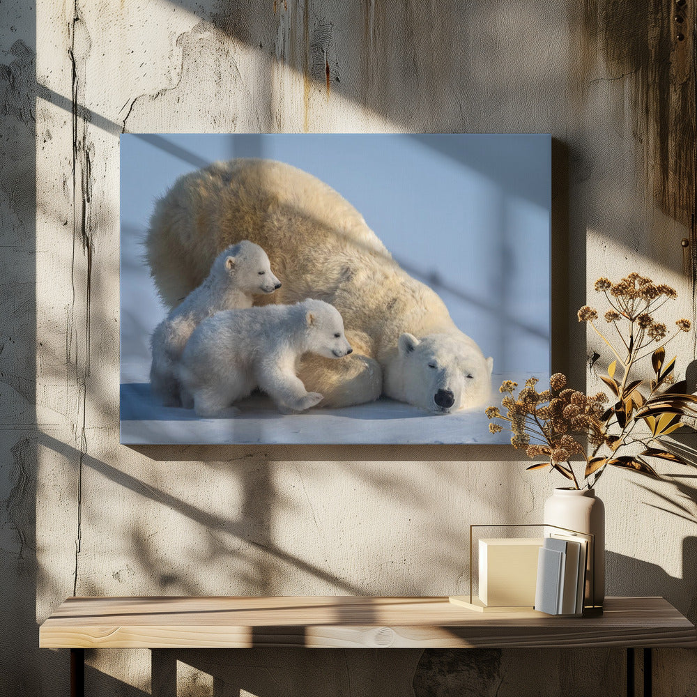 Wall art Mum, Play together-Canvas Print-DECOROLALA