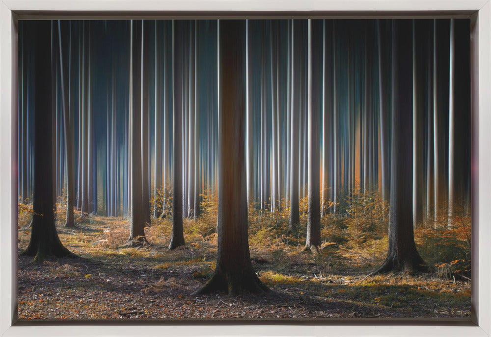 Wall art Mystic Wood-Canvas Print-DECOROLALA