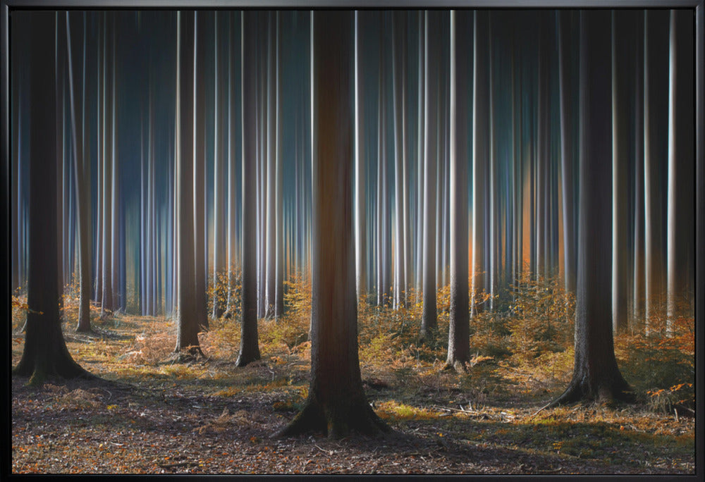 Wall art Mystic Wood-Canvas Print-DECOROLALA