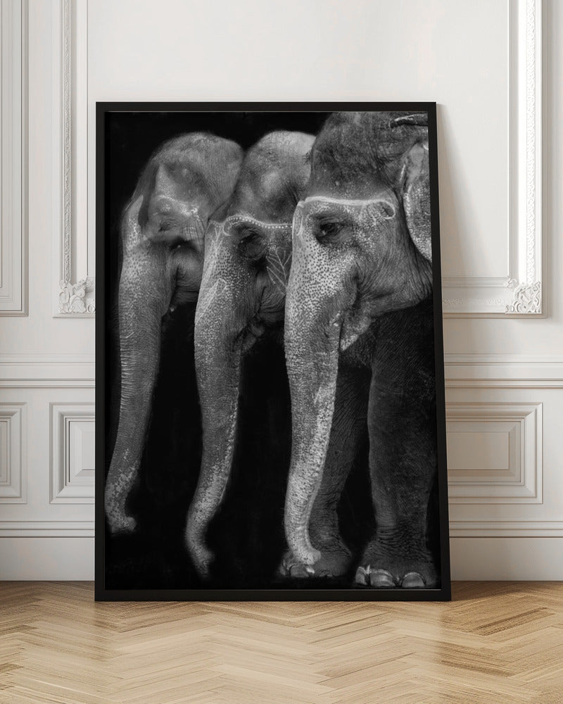 Wall art Nature\'s great masterpiece, an elephant; the only harmless great thing ...-Canvas Print-DECOROLALA