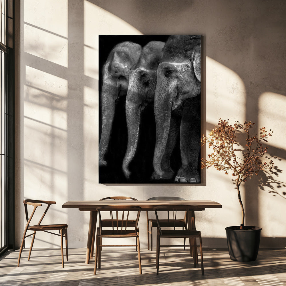 Wall art Nature\'s great masterpiece, an elephant; the only harmless great thing ...-Canvas Print-DECOROLALA