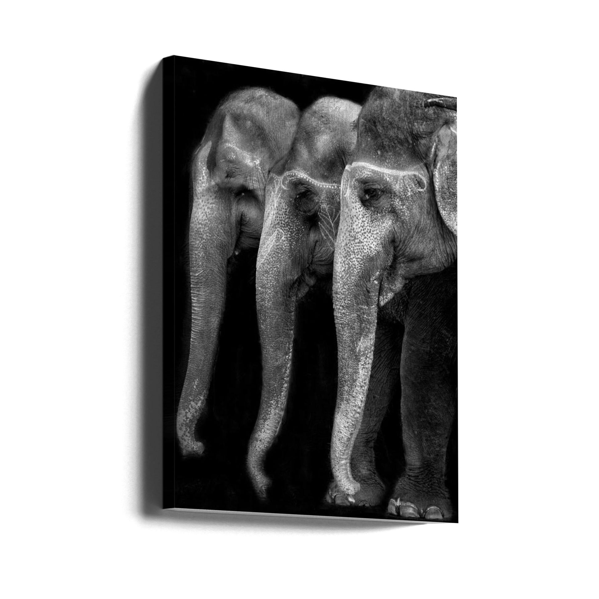 Wall art Nature\'s great masterpiece, an elephant; the only harmless great thing ...-Canvas Print-DECOROLALA