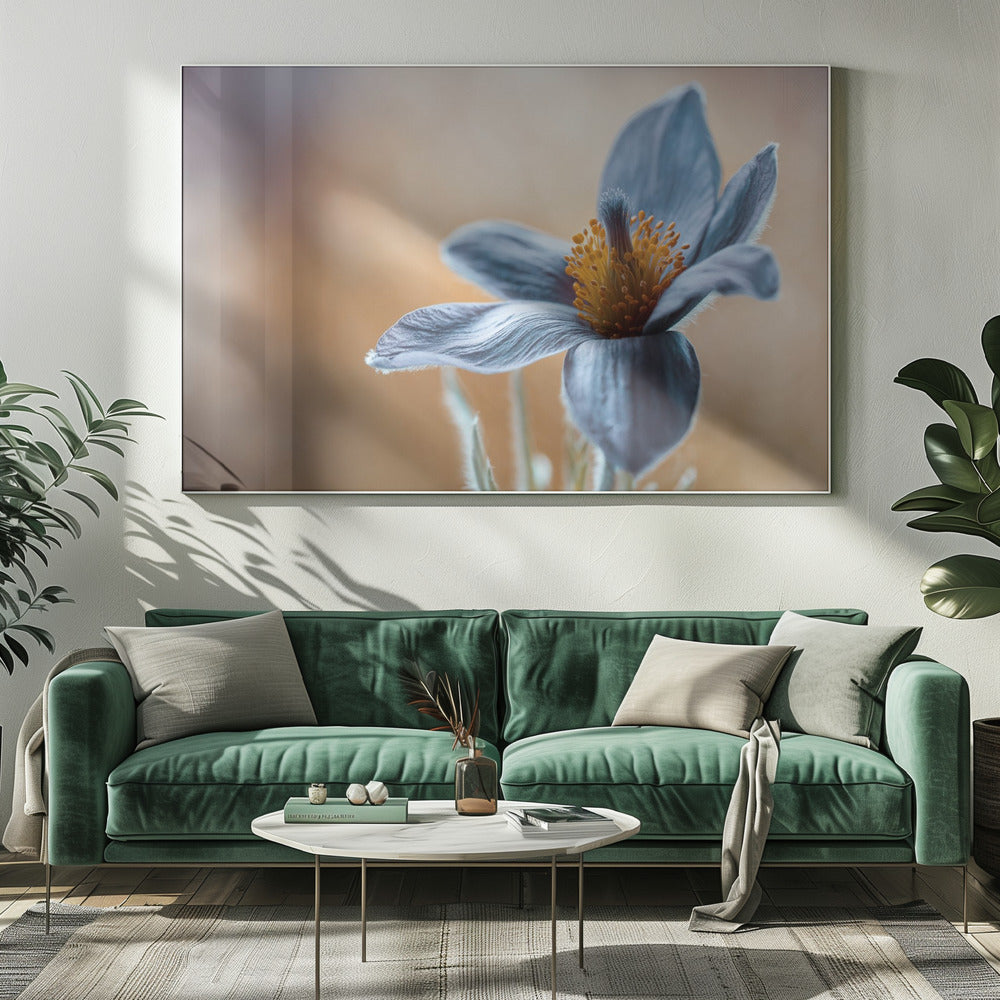 Wall art Pasque. Floral-Canvas Print-DECOROLALA