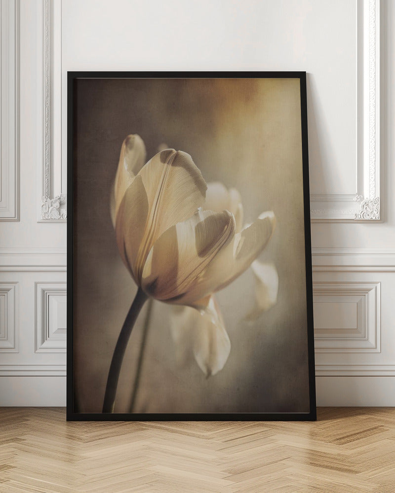 Wall art Pastel Tulip-canvas-DECOROLALA