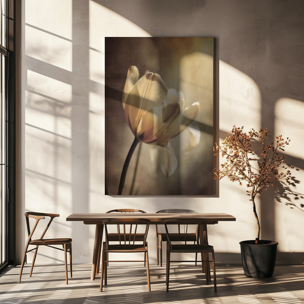 Wall art Pastel Tulip-canvas-DECOROLALA