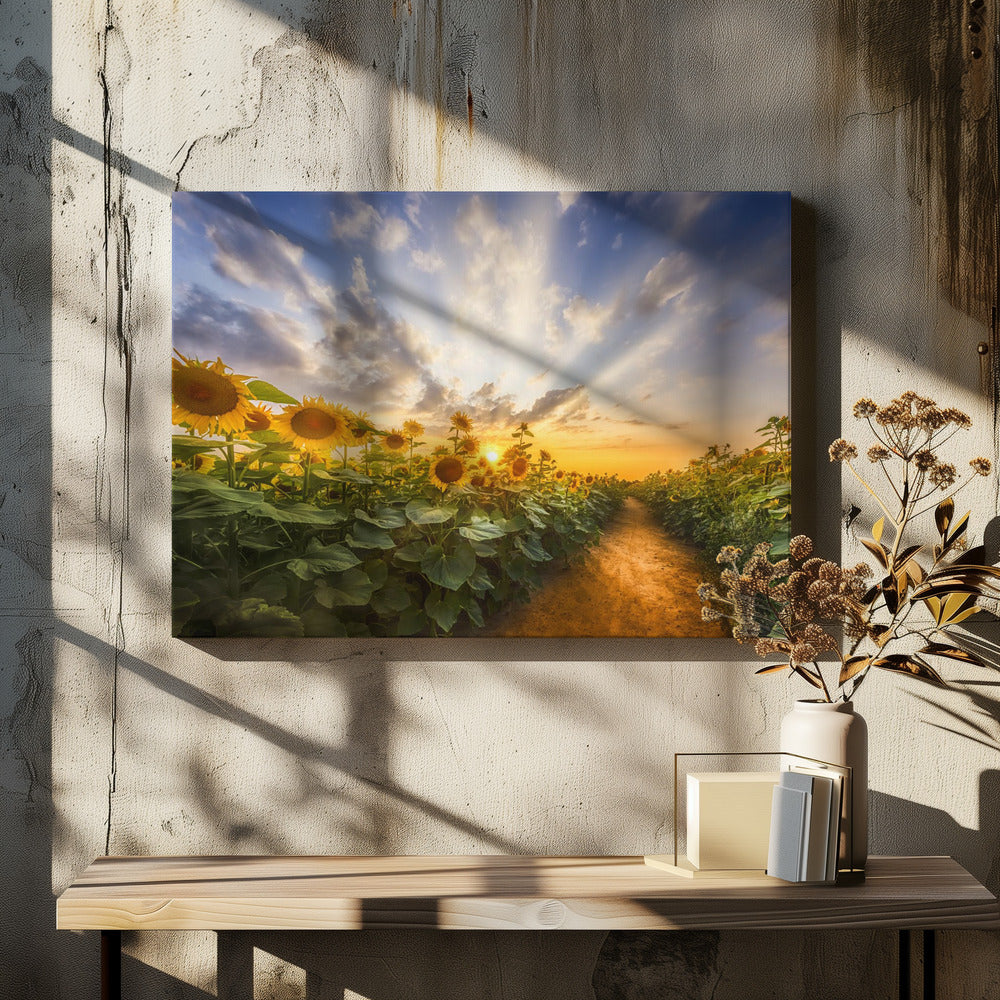 Wall art Path through the sunflower field-canvas-DECOROLALA