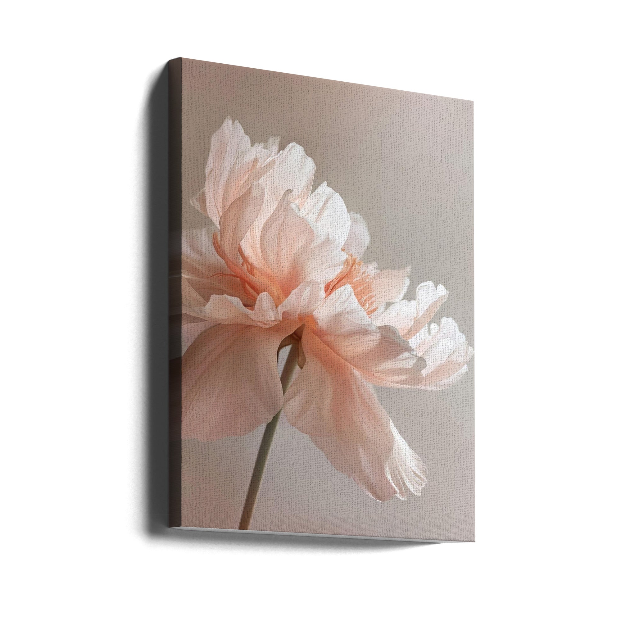 Wall art Petal Joy 1-canvas-DECOROLALA