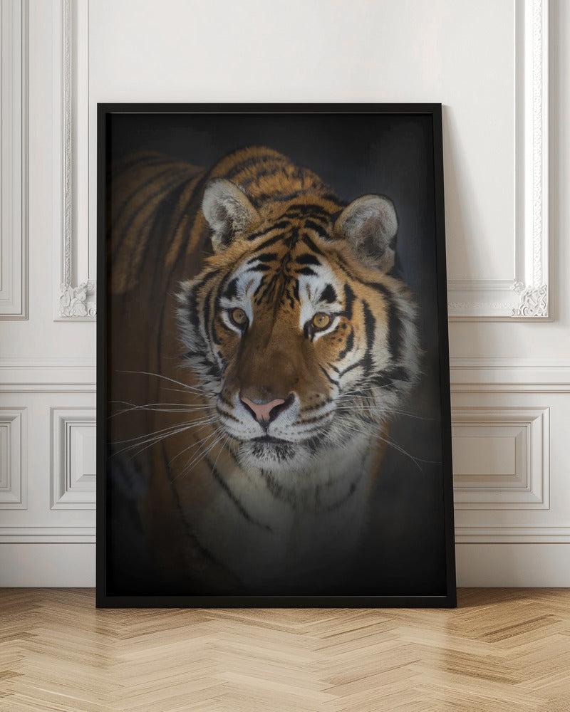 Wall art Portrait of a Siberian Tiger-canvas-DECOROLALA