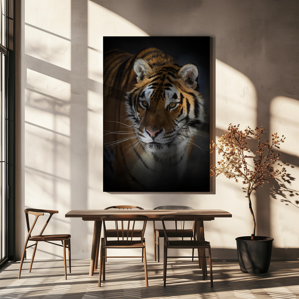 Wall art Portrait of a Siberian Tiger-canvas-DECOROLALA