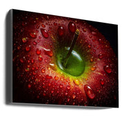 Wall art Red Apple. Food-Canvas Print-DECOROLALA