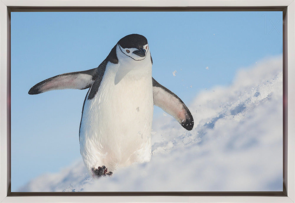 Wall art Running up that hill-Canvas Print-DECOROLALA
