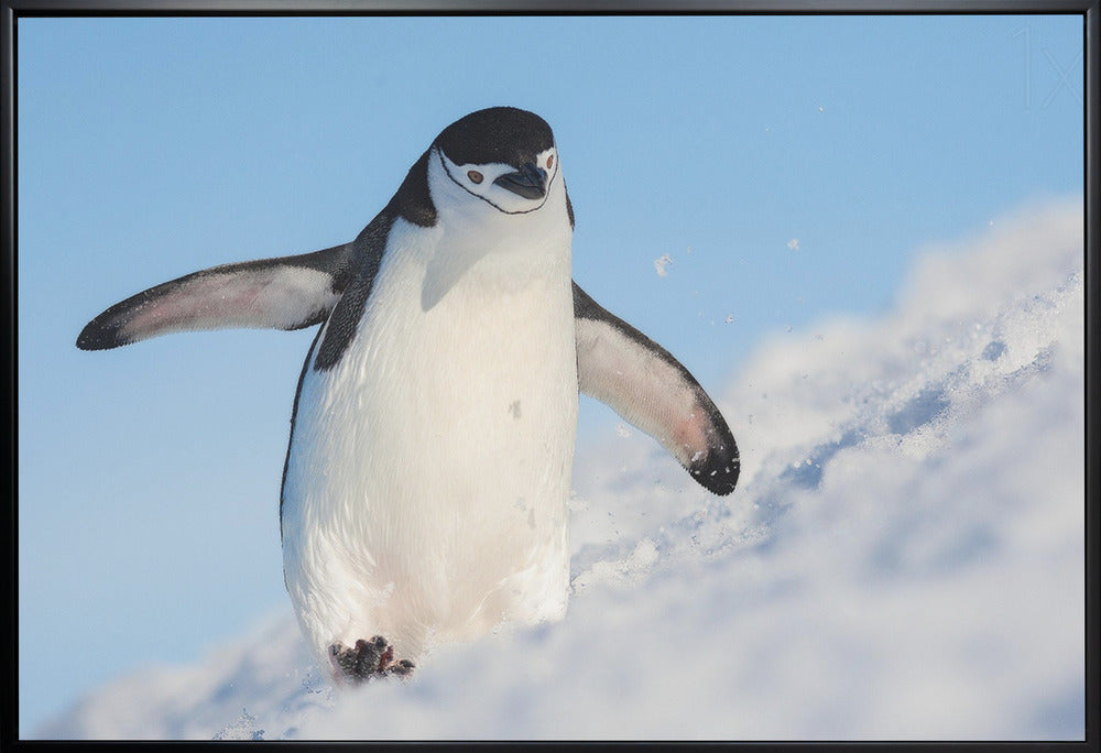Wall art Running up that hill-Canvas Print-DECOROLALA