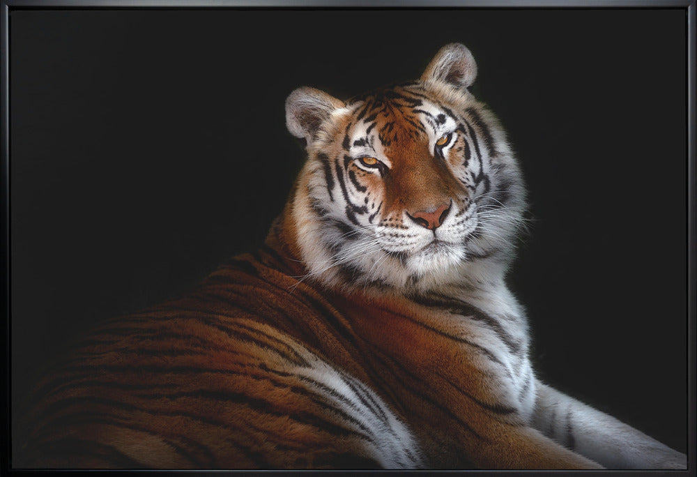 Wall art Serenity-canvas-DECOROLALA