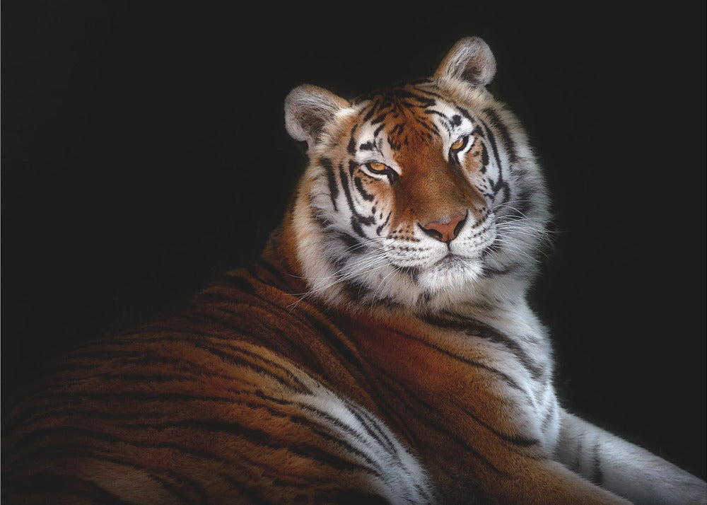 Wall art Serenity-canvas-DECOROLALA