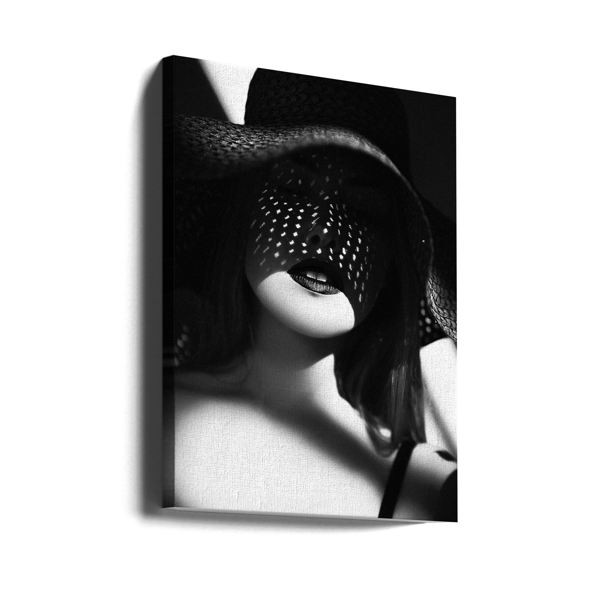 Wall art Shadowed Elegance-Canvas Print-DECOROLALA