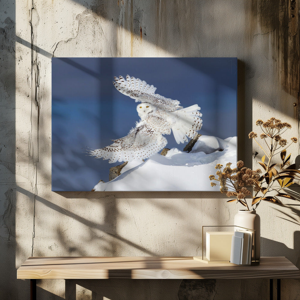 Wall art Snowy Owl in Flight-Canvas Print-DECOROLALA