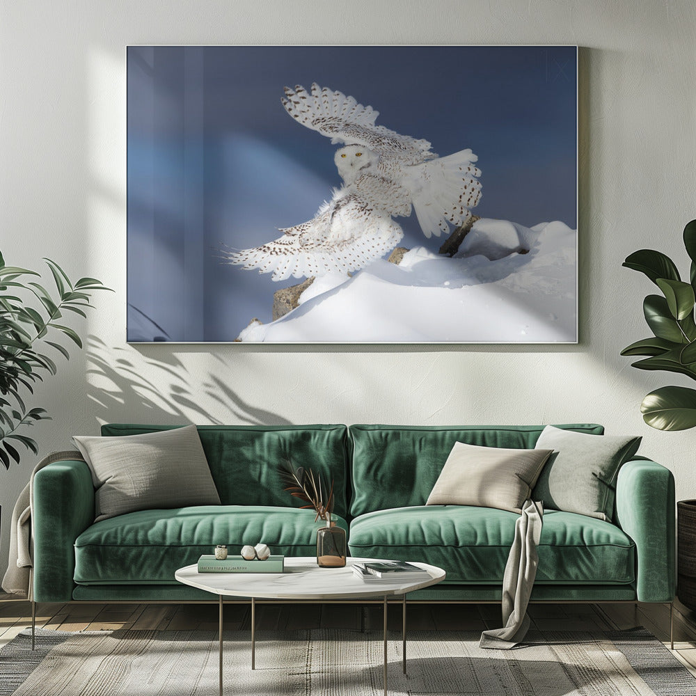 Wall art Snowy Owl in Flight-Canvas Print-DECOROLALA