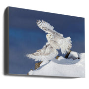 Wall art Snowy Owl in Flight-Canvas Print-DECOROLALA