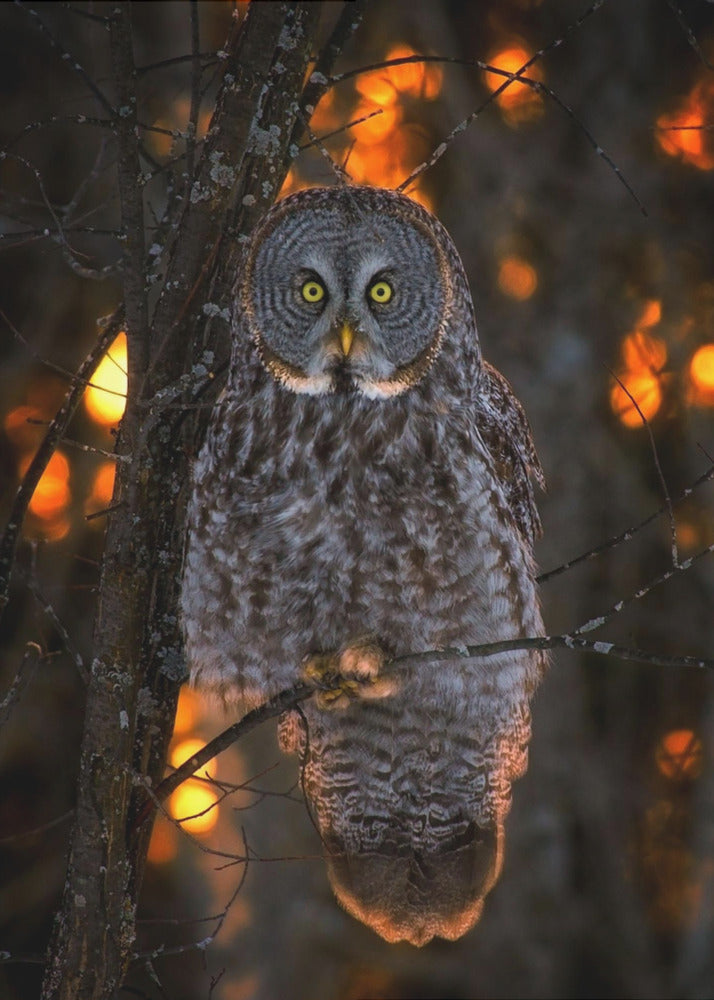 Wall art Solemn Sunset-Canvas Print-DECOROLALA