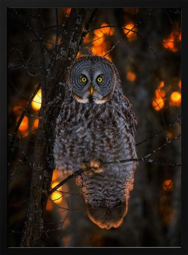 Wall art Solemn Sunset-Canvas Print-DECOROLALA