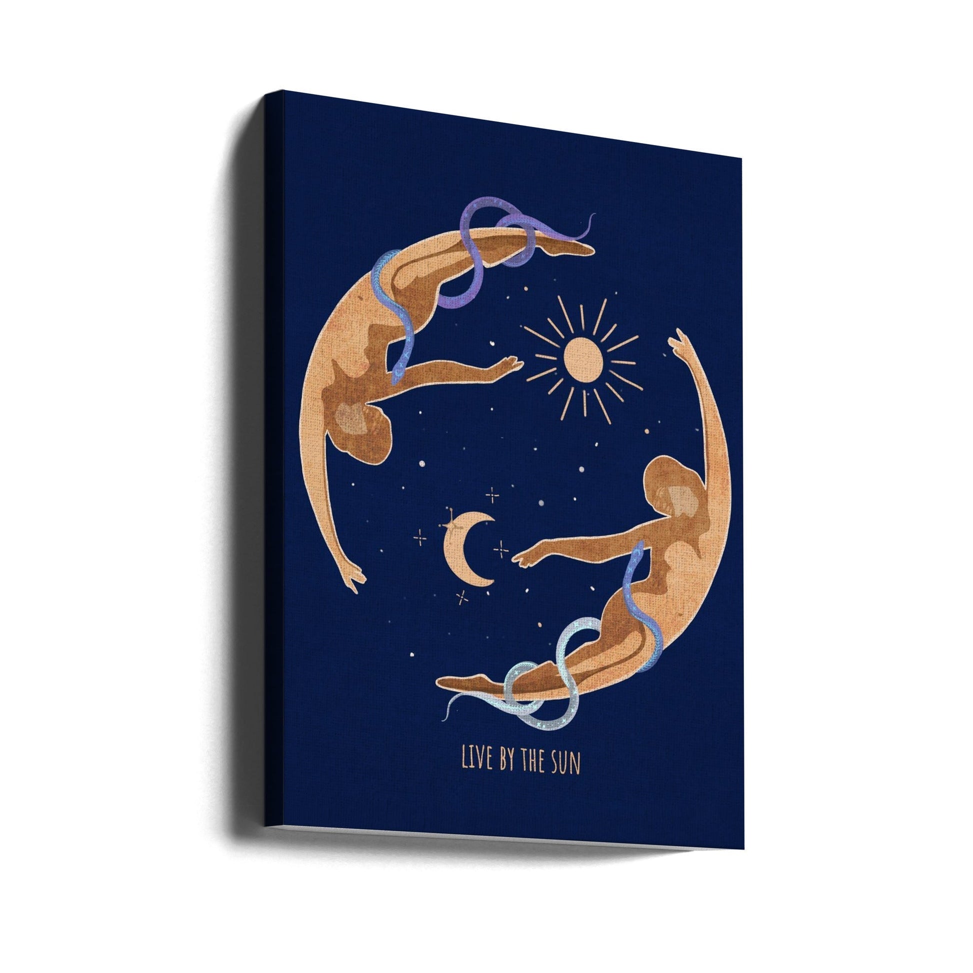 Wall art Spiritual Feminine Energy, Sun, Moon, Snake, Venus..-Canvas Print-DECOROLALA