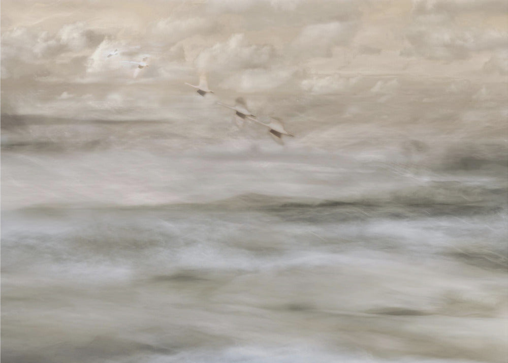 Wall art Swans over sea-Canvas Print-DECOROLALA