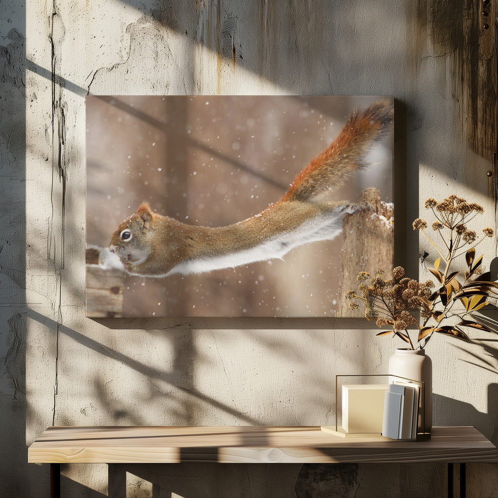 Wall art The Acrobat-Canvas Print-DECOROLALA