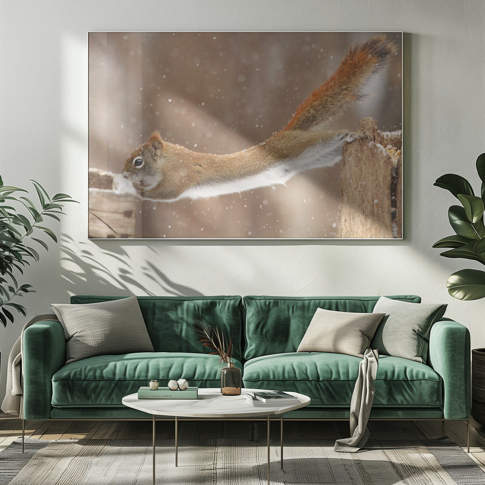 Wall art The Acrobat-Canvas Print-DECOROLALA