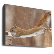 Wall art The Acrobat-Canvas Print-DECOROLALA