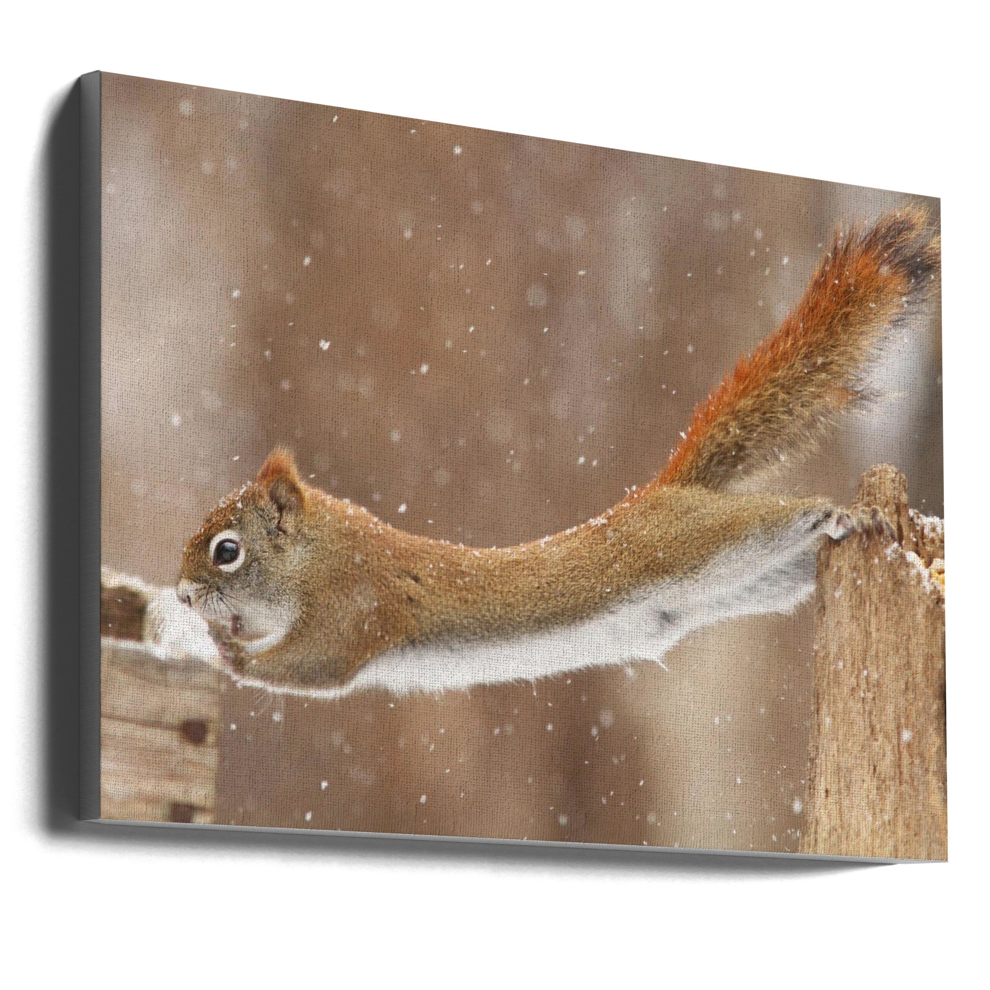 Wall art The Acrobat-Canvas Print-DECOROLALA