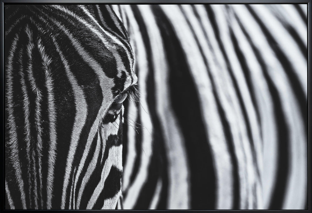 Wall art The look of nature-Canvas Print-DECOROLALA