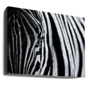 Wall art The look of nature-Canvas Print-DECOROLALA