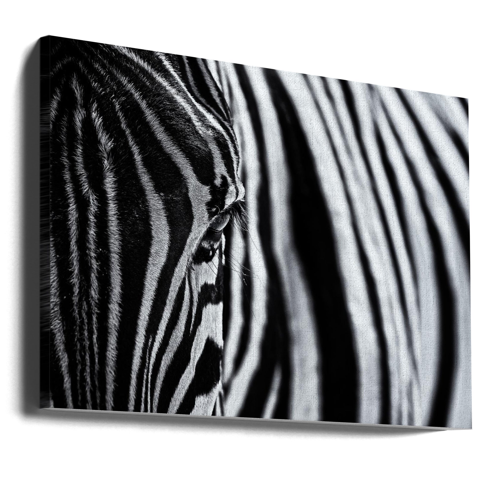 Wall art The look of nature-Canvas Print-DECOROLALA