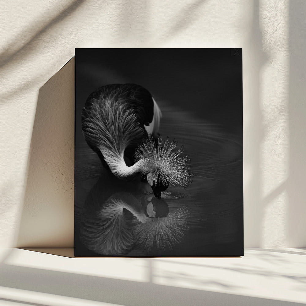 Wall art The reflection-canvas prints-DECOROLALA