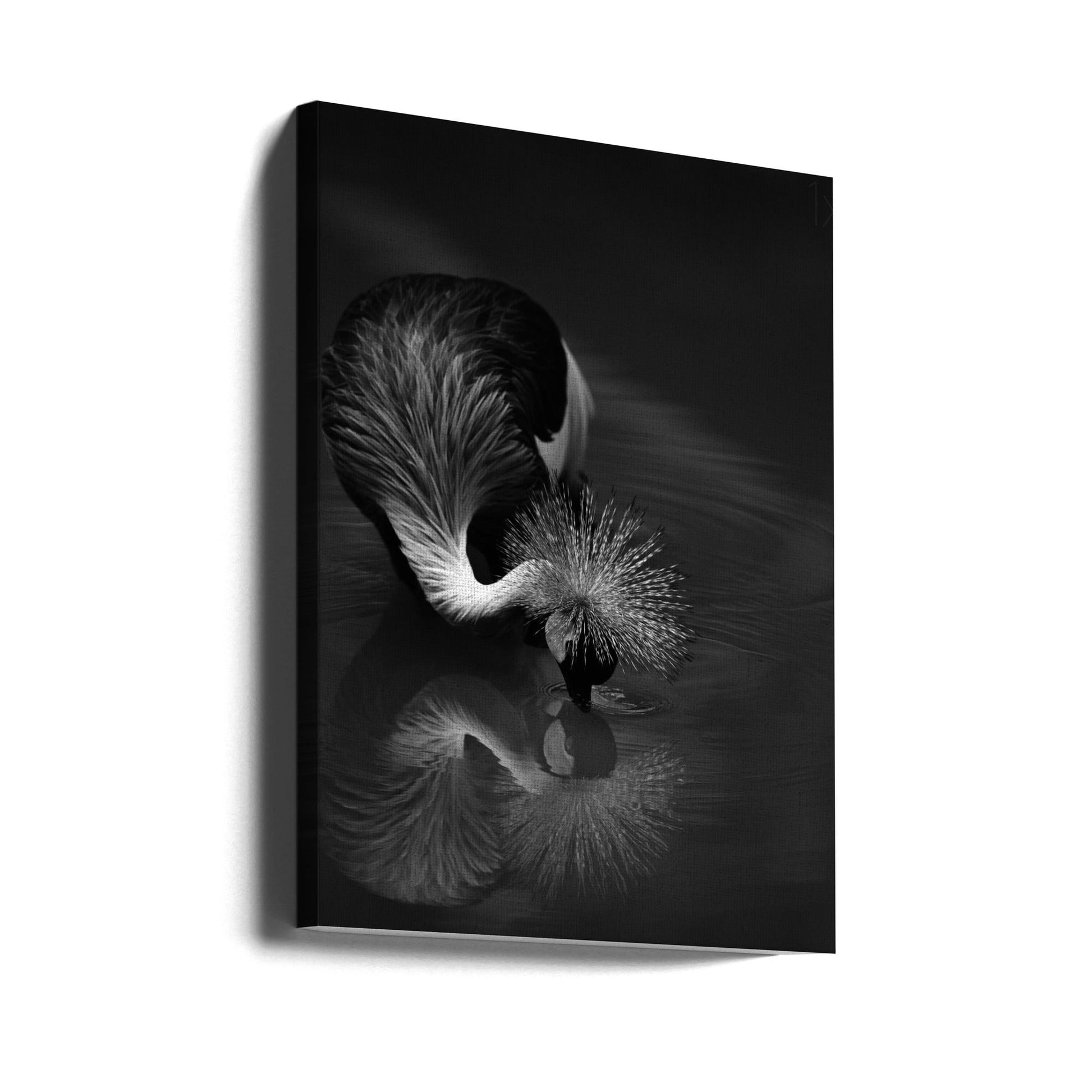 Wall art The reflection-canvas prints-DECOROLALA