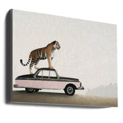 Wall art Tiger om a car roof-canvas-DECOROLALA