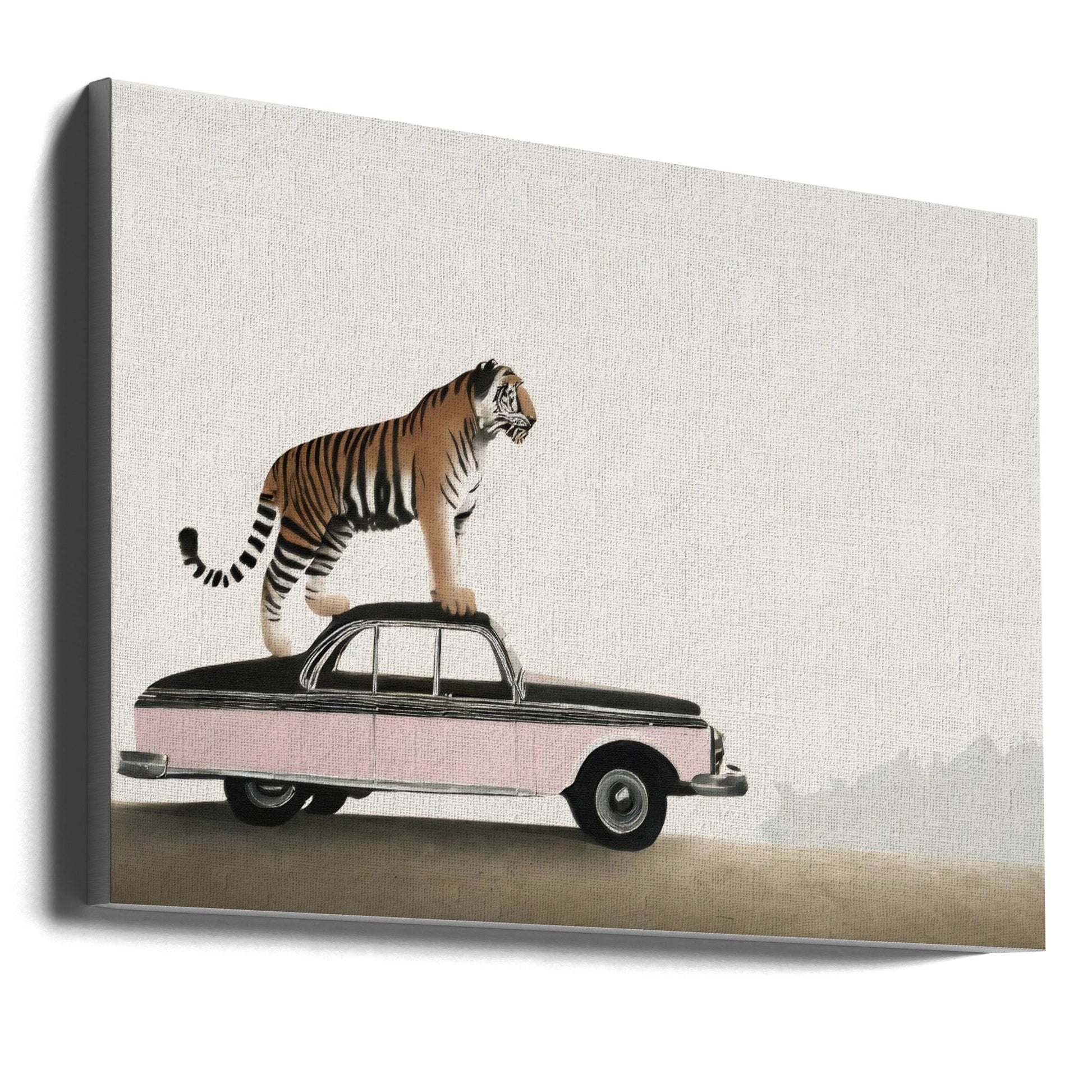 Wall art Tiger om a car roof-canvas-DECOROLALA
