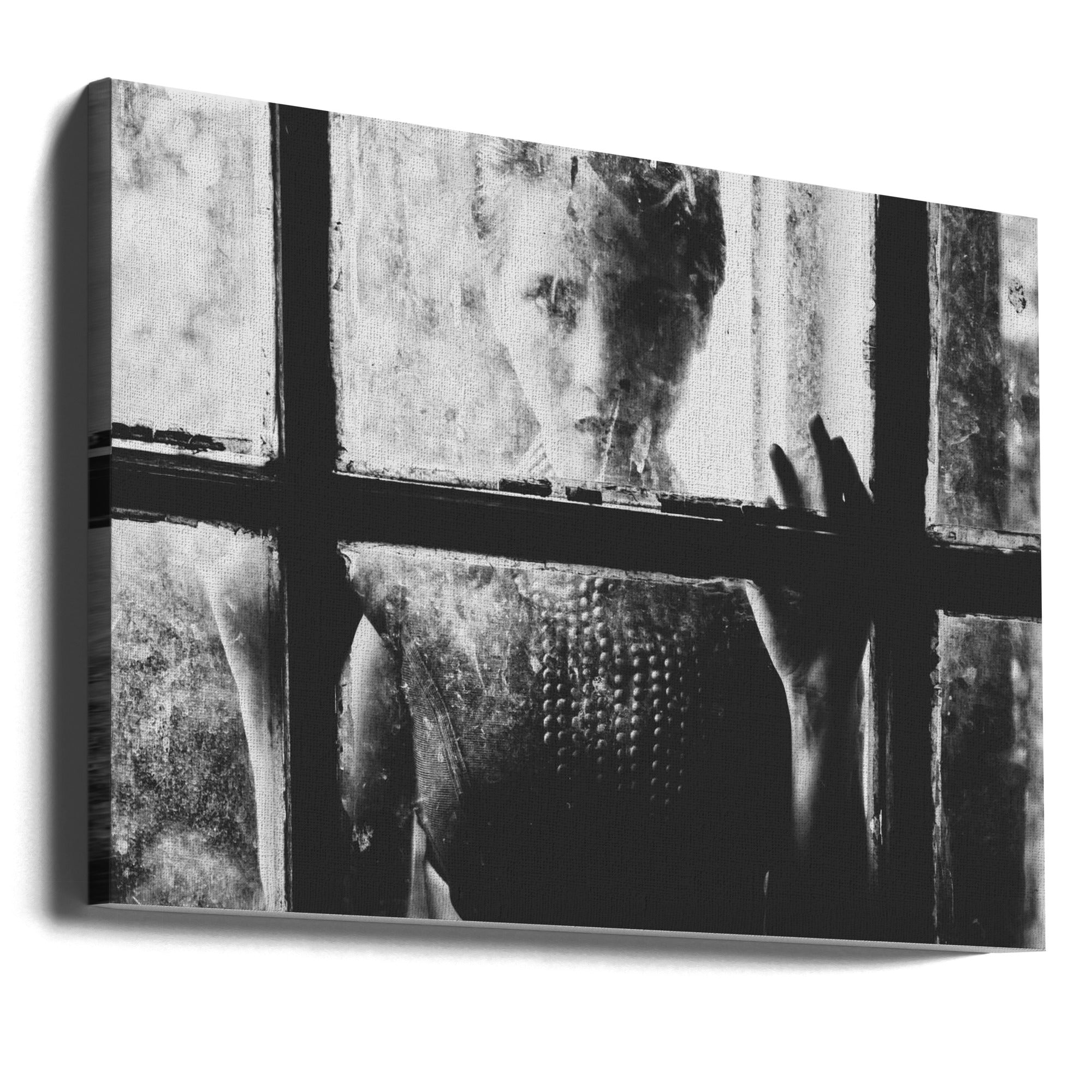 Wall art Trapped-Canvas Print-DECOROLALA
