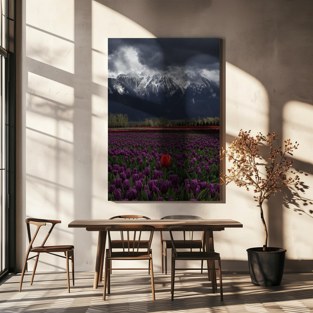 Wall art Tulip in Vancouver, Canada-Canvas Print-DECOROLALA