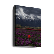 Wall art Tulip in Vancouver, Canada-Canvas Print-DECOROLALA
