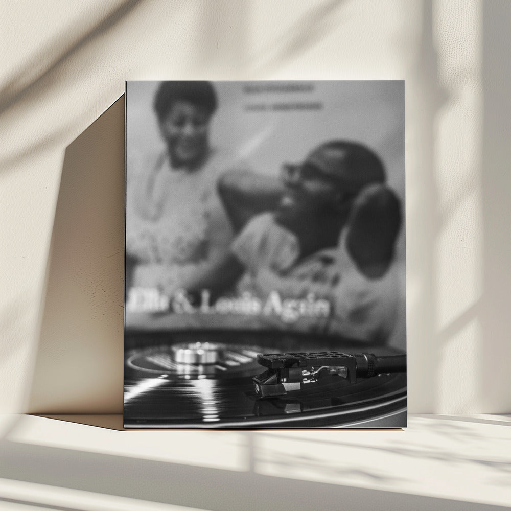 Wall art Vinyl_003-canvas prints-DECOROLALA