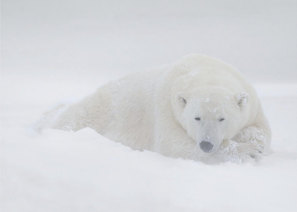 Wall art White-Canvas Print-DECOROLALA