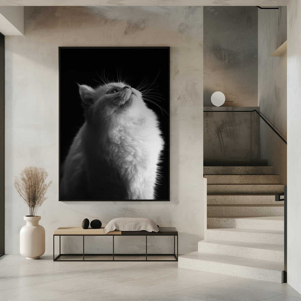Wall art White in Black-canvas prints-DECOROLALA