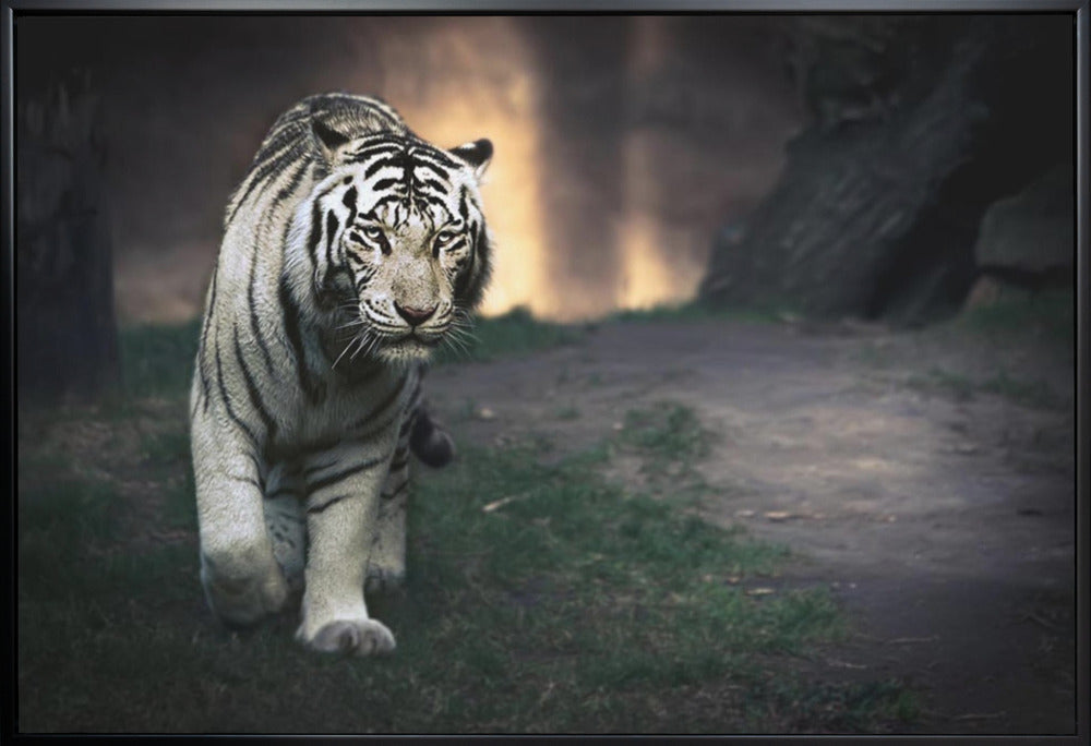 Wall art White walker-canvas-DECOROLALA