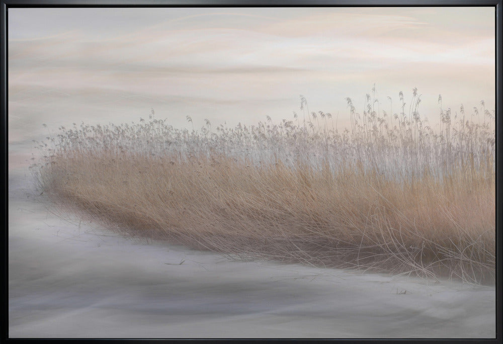 Wall art Winter Reed-Canvas Print-DECOROLALA