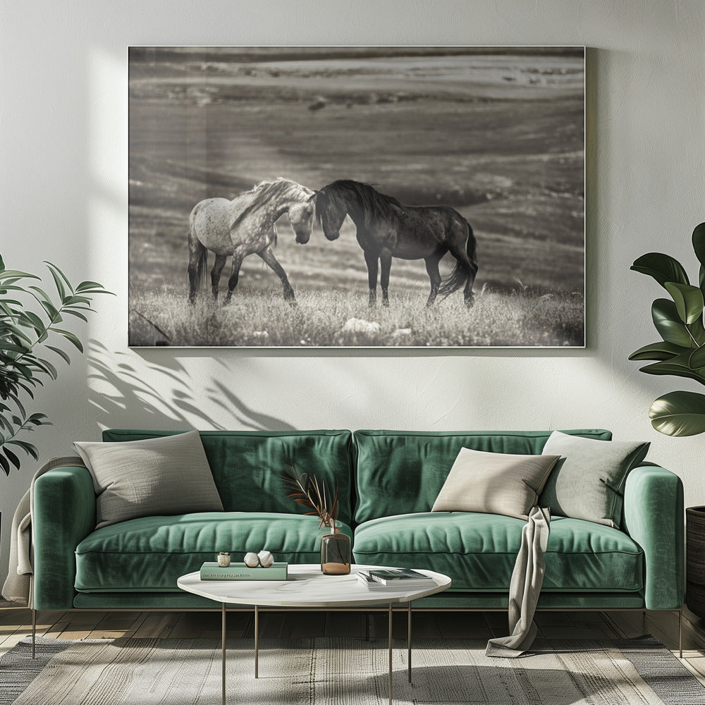Wall art close encounter. Horses-Canvas Print-DECOROLALA