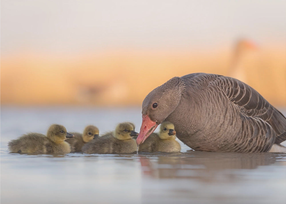 Wall art happy family-Canvas Print-DECOROLALA