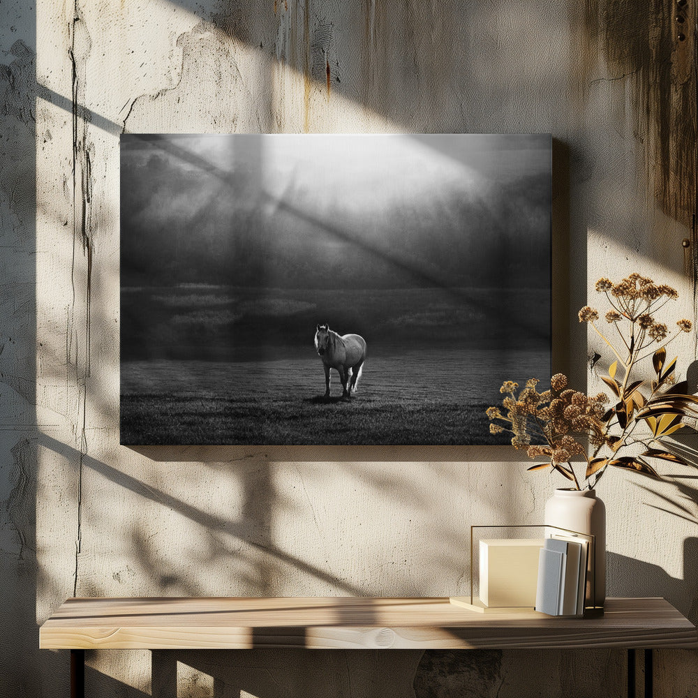 Wall art morning appearance. Hourses-Canvas Print-DECOROLALA