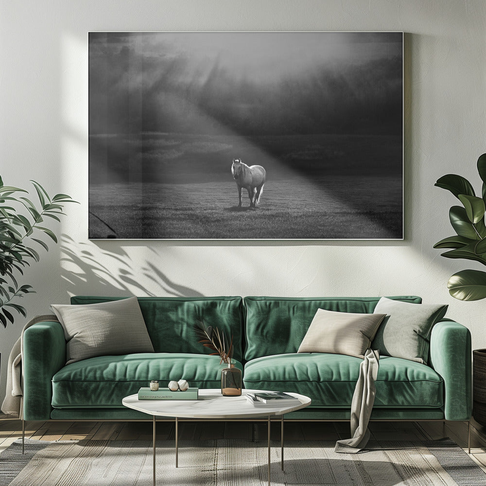 Wall art morning appearance. Hourses-Canvas Print-DECOROLALA